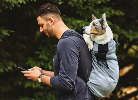 Lifestyle-Porträt eines Mannes, der einen kleinen Hund im Rucksack trägt und im Freien auf sein Telefon blickt; das Bild verbindet Mobilität, Begleitung und…